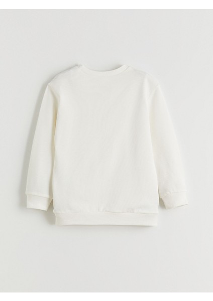 Yeni Sezon Baskılı Erkek Çocuk Sweatshirt fırsatları