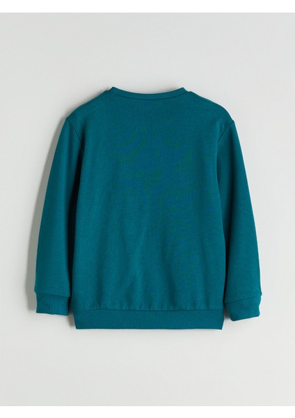 Yeni Sezon Bisiklet Yaka Erkek Çocuk Sweatshirt modelleri