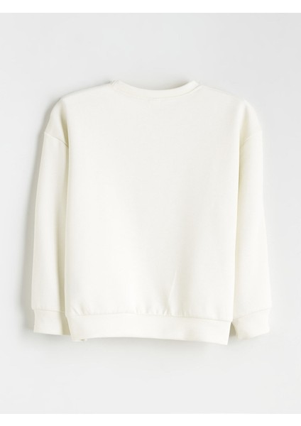 Yeni Sezon Bisiklet Yaka Erkek Çocuk Sweatshirt fiyatları