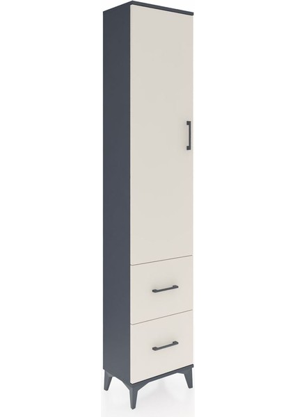 Arges Dolap 4 Raflı 2 Çekmeceli Tek Kapaklı 44X30X221 Antrasit-Aytaşı fiyatları