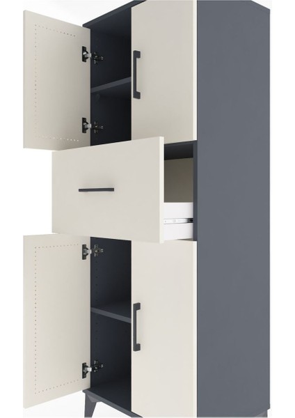 Hyperion Dolap 3 Raflı Tek Çekmeceli 4 Kapaklı 60X44X163 Antrasit-Aytaşı indirimleri