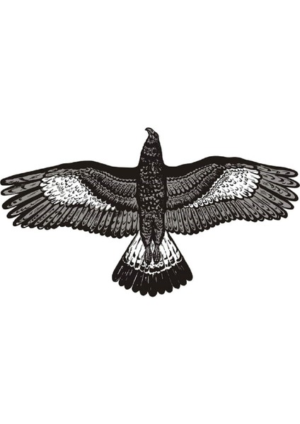 Uçurtma Kartal Çitalı 90 cm