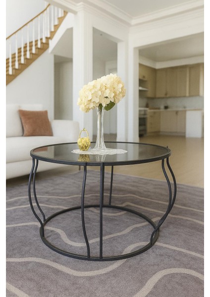 Hanedan Orta Sehpa 54X75 cm Şeffaf Kırılmaz Cam-Ims Zigon Dünyası