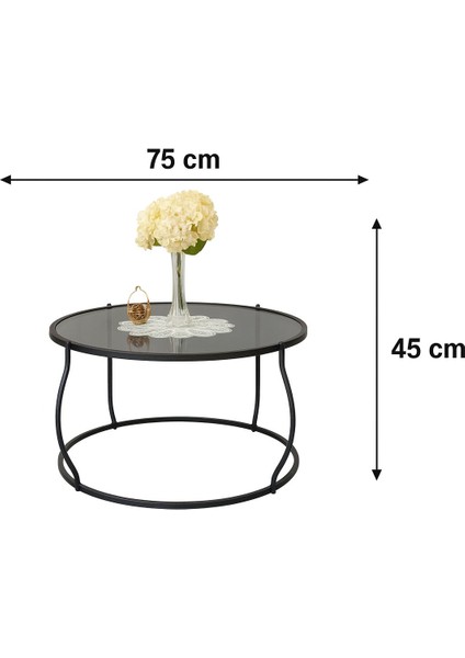 Hanedan Orta Sehpa 54X75 cm Şeffaf Kırılmaz Cam-Ims Zigon Dünyası fiyatları