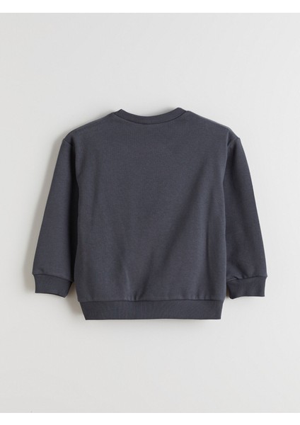 Yeni Sezon Ninja Kaplumbağalar Lisanslı Erkek Çocuk Sweatshirt modelleri