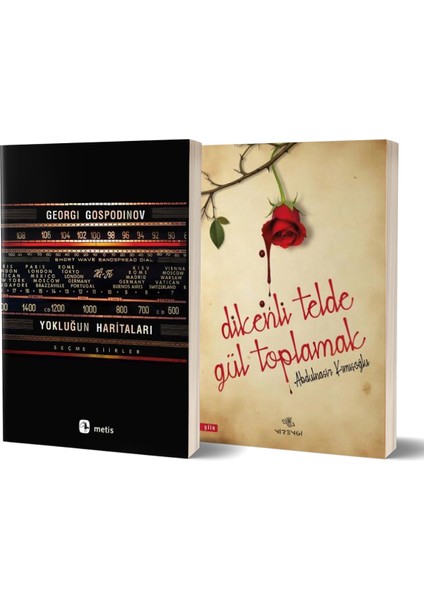 Yokluğun Haritaları Seçme Şiirler - Dikenli Telde Gül Toplamak