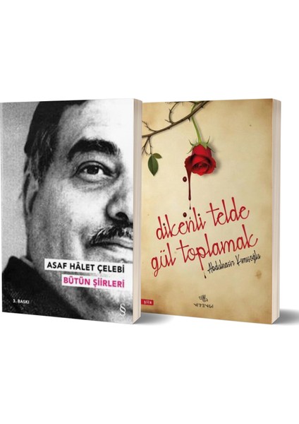 Asaf Halet Çelebi Bütün Şiirleri - Dikenli Telde Gül Toplamak