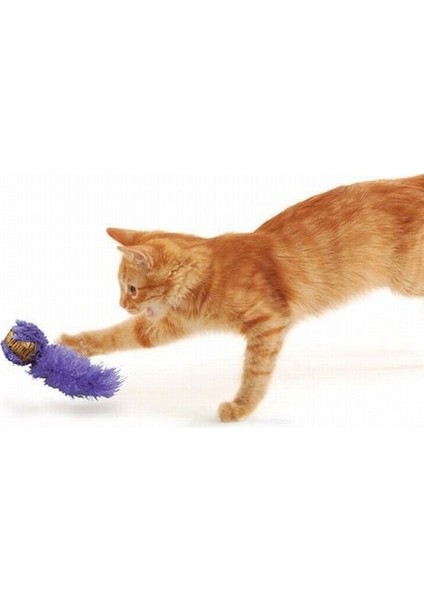 Kedi Peluş Kuyruklu Mantar Oyun Topu 19CM TAZEMAMA1001203772 - 035585334158 - Petshopundan