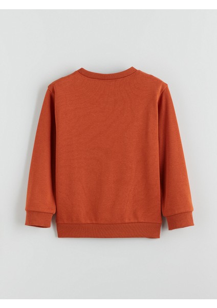 Yeni Sezon Bisiklet Yaka Erkek Çocuk Sweatshirt 2'li fırsatları