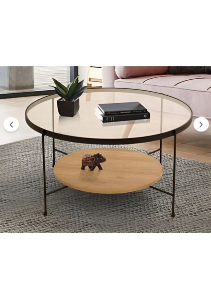 Oslo Orta Sehpa 45X75 cm Siyah Mat Boyalı Metal Ayaklı Şeffaf Füme Cam-Ims Zigondünyası