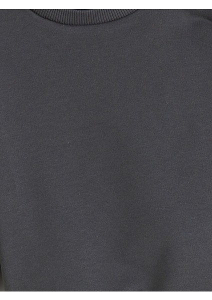 Yeni Sezon Bisiklet Yaka Erkek Bebek Sweatshirt fırsatları