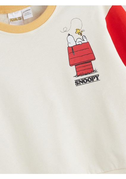 Yeni Sezon Peanuts Baskılı Erkek Çocuk Sweatshirt modelleri