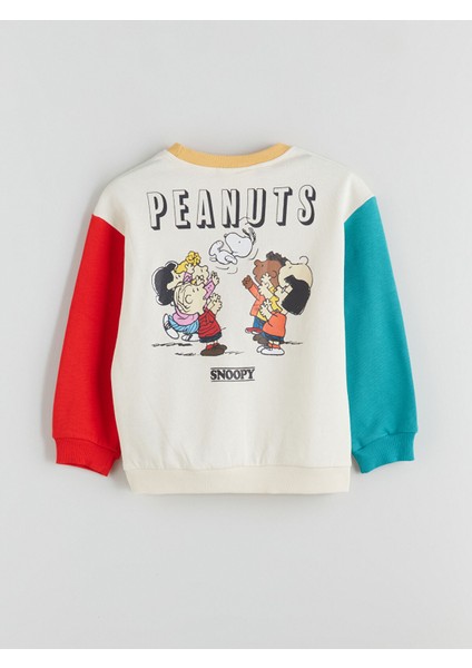 Yeni Sezon Peanuts Baskılı Erkek Çocuk Sweatshirt fırsatları