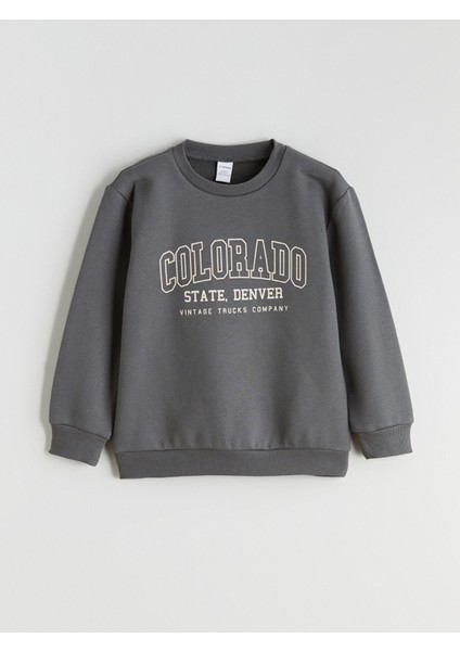 Yeni Sezon Baskılı Erkek Çocuk Kalın Sweatshirt 2'li fiyatları