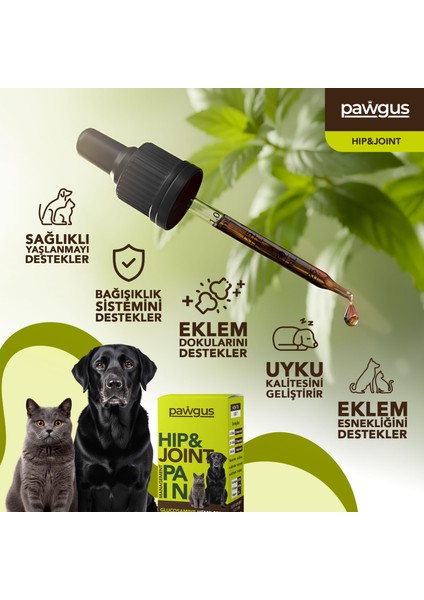 Kedi ve Köpek Kalça ve Eklem Sağlığı Desteği - Ağrı Yönetimi- Sağlıklı Yaşlanma fırsatları
