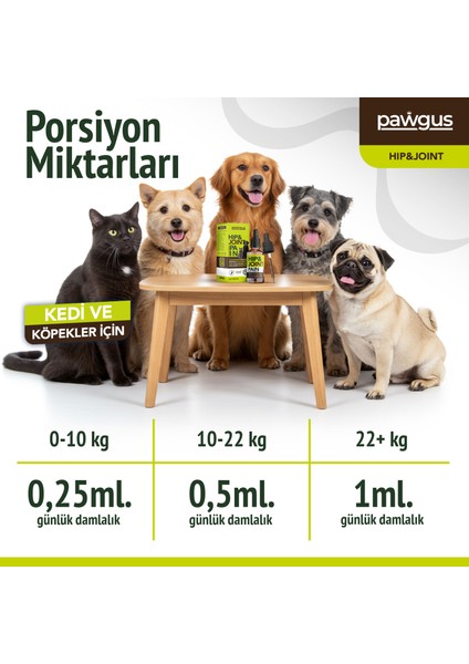 Kedi ve Köpek Kalça ve Eklem Sağlığı Desteği - Ağrı Yönetimi- Sağlıklı Yaşlanma