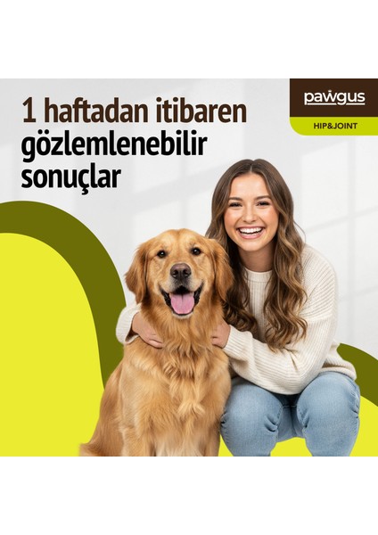 Kedi ve Köpek Kalça ve Eklem Sağlığı Desteği - Ağrı Yönetimi- Sağlıklı Yaşlanma