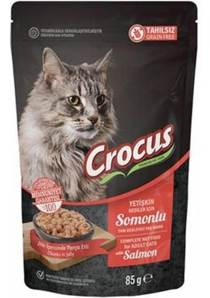 Tahılsız Pouch Jöleli Somonlu Yavru Konserve Kedi Maması 85 gr - Petshopundan