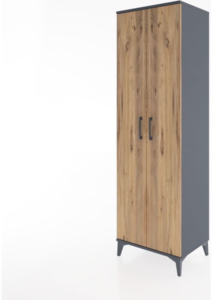 Hyperion Dolap 3 Raflı 2 Kapaklı Tek Askılı 60X44X195 Antrasit-Çam modelleri