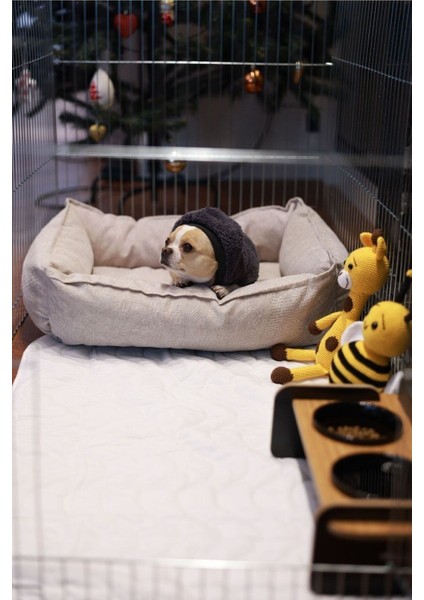 Yıkanabilir Su Geçirmez Köpek Pedi 75X105CM, Tuvalet Eğitimi Için Uygun fırsatları