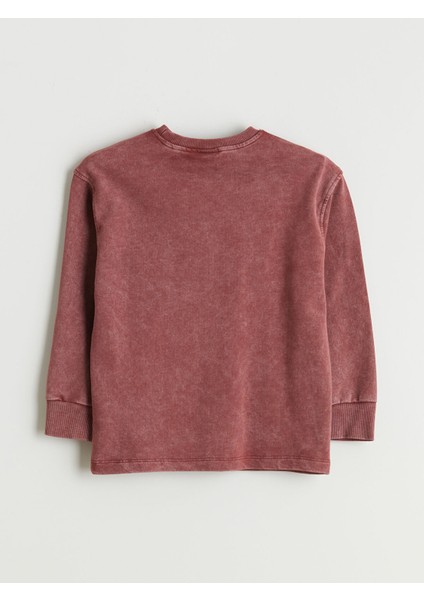 Yeni Sezon Bisiklet Yaka Erkek Çocuk Sweatshirt modelleri