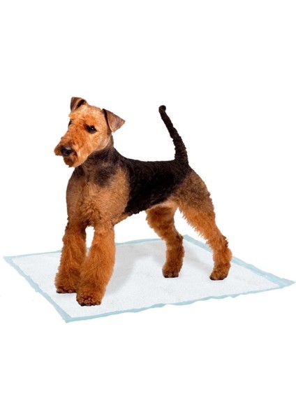 Yumuşak Köpek Tuvalet Pedi 10'lu Büyük Boy 60X90 cm fiyatları