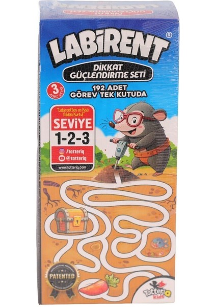 8238 Labirent