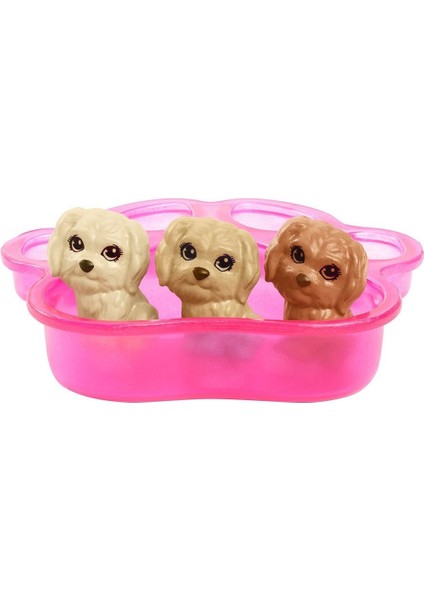HCK75 Barbie ve Yeni Doğan Köpekler Oyun Seti, Barbie ve Hayvanları