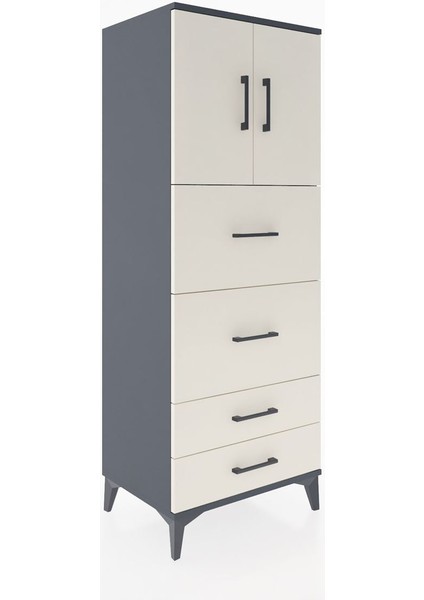 Hyperion Dolap 2 Raflı 4 Çekmeceli 2 Kapaklı 60X44X163 Antrasit-Aytaşı fiyatları