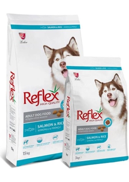 Adult Balıklı Yetişkin Köpek Maması 15 kg - RFL-106 - Petshopundan