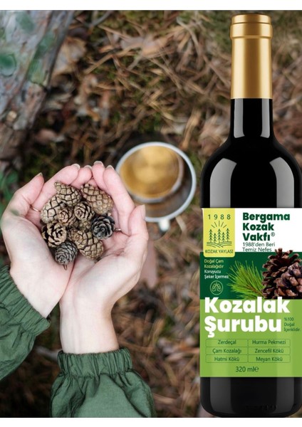 Bergama Vakfı Kozalak Şurubu 320 ml fiyatları