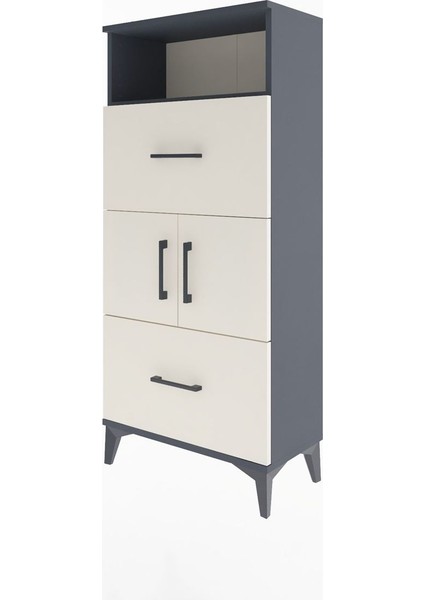 Arges Dolap 2 Raflı 2 Çekmeceli 2 Kapaklı 60X30X134 Antrasit-Aytaşı modelleri