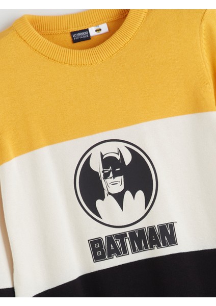 Yeni Sezon Bisiklet Yaka Batman Baskılı Erkek Çocuk Triko Kazak fiyatları