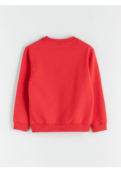 Yeni Sezon Bisiklet Yaka Erkek Çocuk Sweatshirt fiyatları