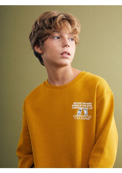 Yeni Sezon Bisiklet Yaka Erkek Çocuk Sweatshirt fiyatları
