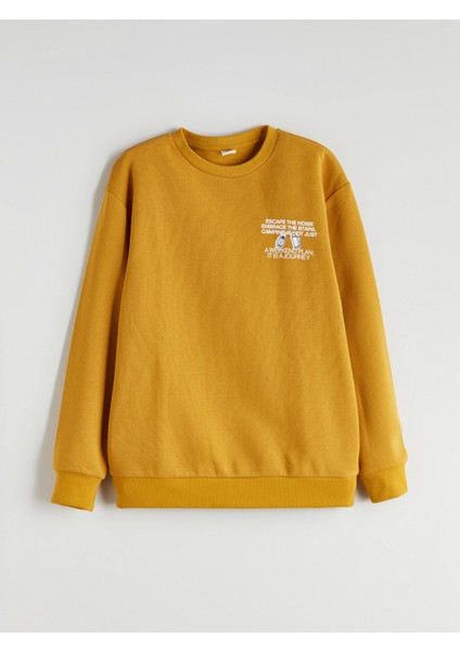 Yeni Sezon Bisiklet Yaka Erkek Çocuk Sweatshirt indirimleri