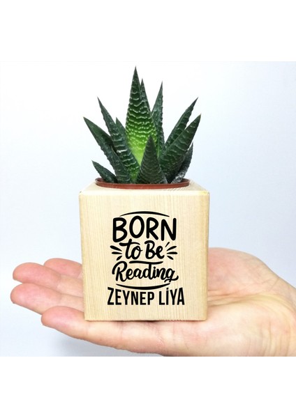 Kişiye Özel Isimli Kitap Temalı Küp Saksı ve Haworthia Sukulent - MK09