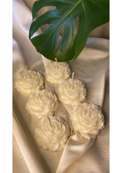 Bernamiofficial 6'lı Gül Vegan Mum