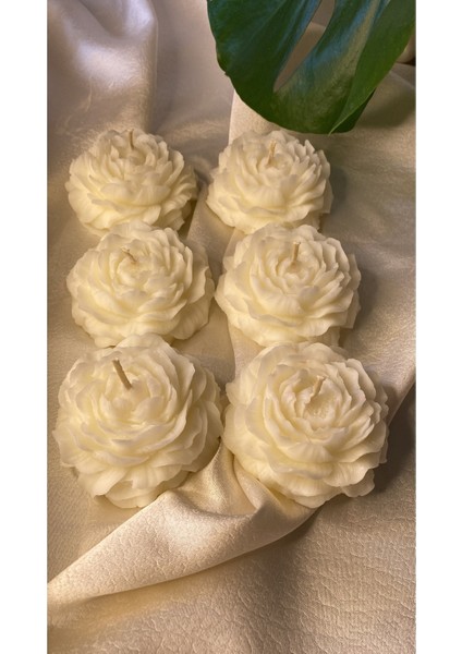 Bernamiofficial 6'lı Gül Vegan Mum fiyatları