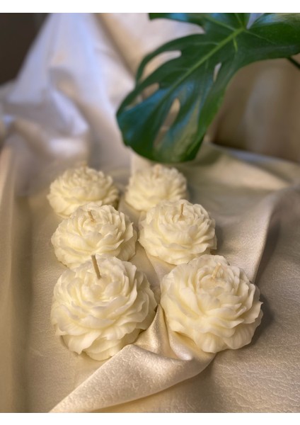 Bernamiofficial 6'lı Gül Vegan Mum modelleri