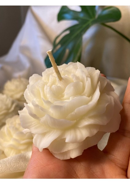 Bernamiofficial 6'lı Gül Vegan Mum fırsatları