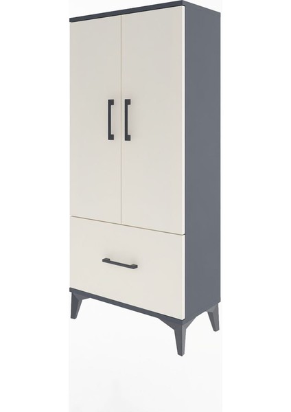 Arges Dolap 2 Raflı Tek Çekmeceli 2 Kapaklı 60X30X134 Antrasit-Aytaşı modelleri