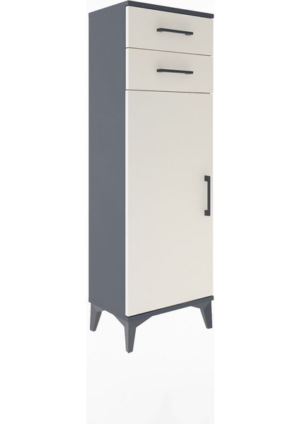Arges Dolap 2 Raflı 2 Çekmeceli Tek Kapaklı 44X30X134 Antrasit-Aytaşı fiyatları