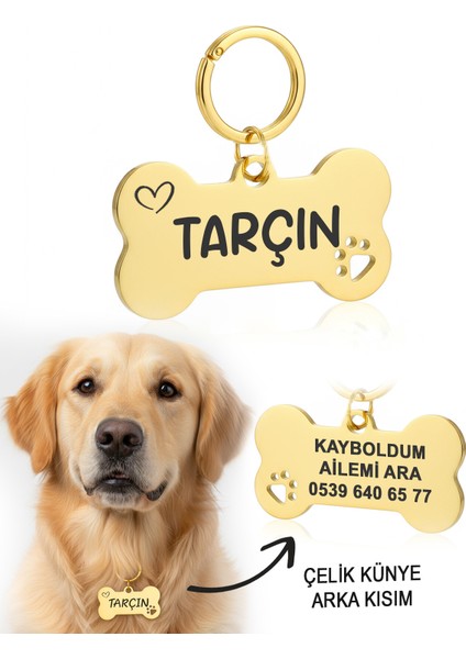 Çelik Gold Altın Renk Köpek Künyesi Isimlik
