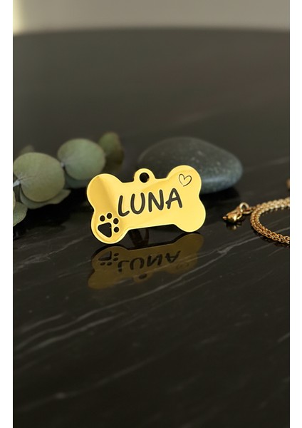 Çelik Gold Altın Renk Köpek Künyesi Isimlik modelleri