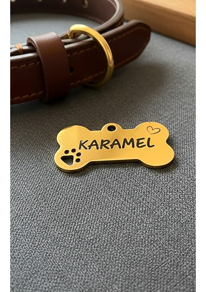Çelik Gold Altın Renk Köpek Künyesi Isimlik fırsatları