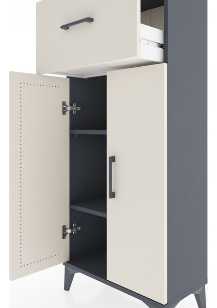 Hyperion Dolap 2 Raflı Tek Çekmeceli 2 Kapaklı 60X44X134 Antrasit-Aytaşı indirimleri