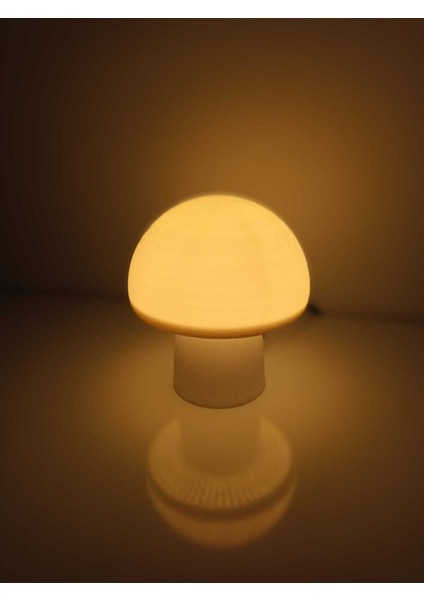 Modern Mantar Tasarımlı Gece ve Masa Lambası, Dekoratif ve LED Aydınlatma Seçenekleriyle