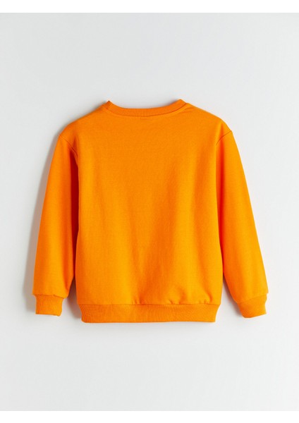 Yeni Sezon Bisiklet Yaka Erkek Çocuk Sweatshirt modelleri
