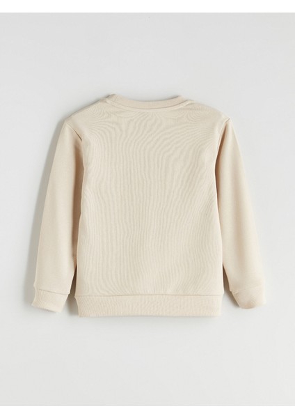 Yeni Sezon Bisiklet Yaka Erkek Çocuk Sweatshirt modelleri